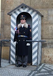 One of two palace guards